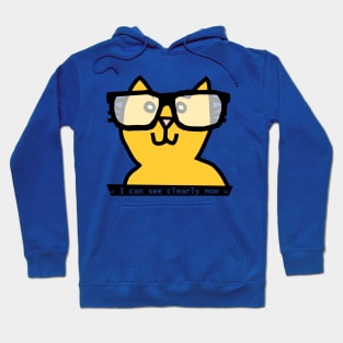 Cat in Glasses can see Clearly Now Hoodie